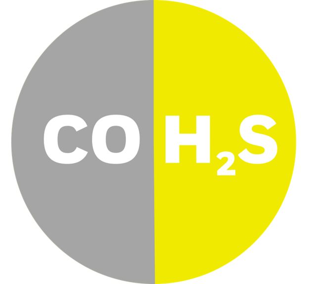 hon-ia-pmc-cosh- 500x500.png